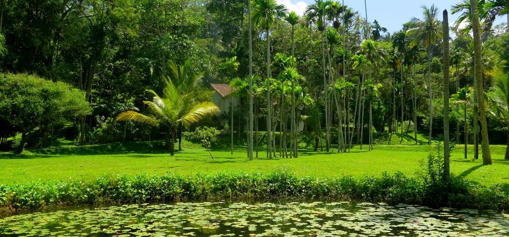 Siri Wedamadura Villa Weligama Phòng bức ảnh